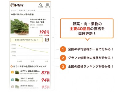 日本一野菜が安いお店はどこだ！「トクバイ」が野菜高騰化の救世主ツールをリリース