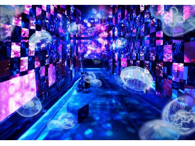 【すみだ水族館】人気アーティスト清川あさみとすみだ水族館が初のコラボレーション！ 『Fairy tale in Aquarium～水と幻想の世界～』９月２９日（金）～１１月１９日（日）