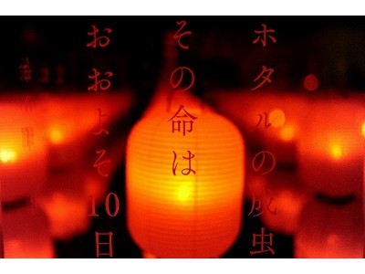【京都水族館】２０１８年７月１４日（土）～１６日（祝・月）３日間限定「なつとほたるとすいぞくかん」を開催