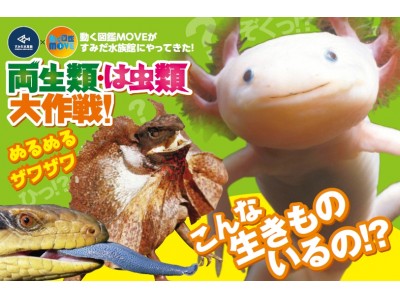 【すみだ水族館】見た目はぬるぬる・思わずザワザワ…、驚きの生態を持ついきものが大集合　第3弾「両生類・は虫類大作戦！」を開催