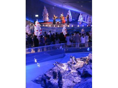 すみだ水族館】聖夜にクリスマスソングといきものたちのハーモニーが 