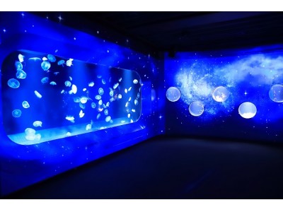 【京都水族館】２０１８年１２月２２日（土）～２４日（祝・月）３日間限定 「冬の夜のすいぞくかん」を開催