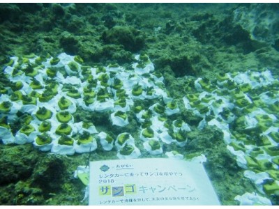【オリックス自動車】「レンタカーに乗って、サンゴを増やそう2018」キャンペーン結果報告　沖縄県浦添市港川の海に220本のサンゴを植付