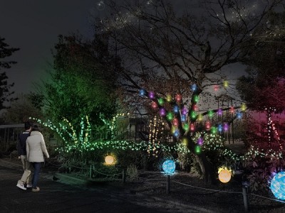 【京都・梅小路みんながつながるプロジェクト】「京都・梅小路みんながつながるプロジェクト」で賑わいづくり　ライトアップイベント『京都・冬の光宴２０１９』開催