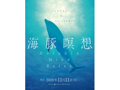 【京都水族館】イルカの日常を一緒に過ごしてリラックスする新しいプログラム「海豚瞑想 Dolphin Mind Relax」２０１９年１１月１１日（月）スタート