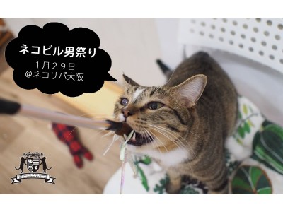 ネコ好き男子のひそかな夢を叶える1日！猫をモフモフしながら猫助け。大阪心斎橋ネコビルにてメンズデー「ネコビル男祭り」を1月29日に開催。