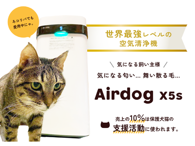 「Airdog × ネコリパブリック」売り上げの10％が保護猫活動に役立つ！保護犬猫の保護活動応援プロジェクト、開始！