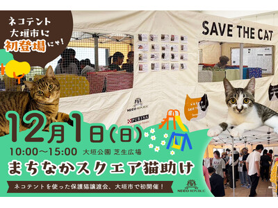 大垣公園が、ネコ、ネコ、ネコまみれ！？岐阜県大垣市の大垣公園芝生広場にて「まちなかスクエア猫助け」イベント開催決定！