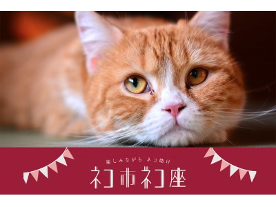 猫好きも半端ないって！ネコのバスやネコテントも登場！参加者全員が「猫助け」の想いで1つに繋がる最大級ホゴネコイベント！楽しみながら猫助け「ネコ市ネコ座」7月14～16日東京ドームシティで開催。