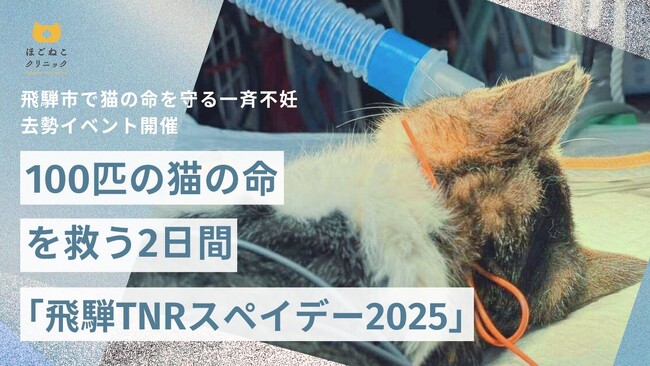 100匹の猫の命を救う2日間 「飛騨TNRスペイデー2025」飛騨市で猫の命を守る一斉不妊去勢イベント開催のお知らせ