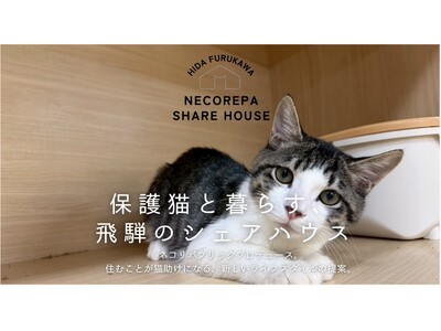 【岐阜県飛騨市】「猫と暮らす」が「猫助け」になる。保護猫8匹と人間5人が家族になる「ネコリパシェアハウス」入居者募集開始！～空き家活用で猫と人の新しい共生モデル～