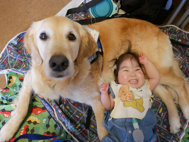 ファシリティドッグと退院した子どもたちとのふれあいイベント【シャイン・オン！おんがくフェスティバル2024】開催