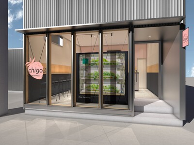 日販City Farming事業×ohagi3いちごスイーツ専門店の第1号店「ichigo3尼ケ坂店」をオープン！