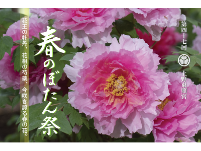 東京・上野公園｜『第四十七回　上野東照宮 春のぼたん祭』2026年４月4日（土）～５月６日（水）開催のお知らせ