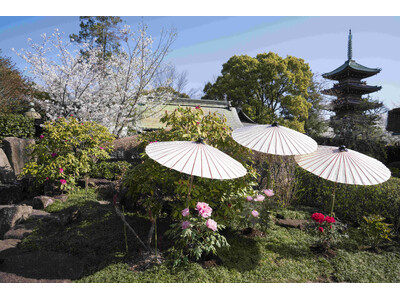 東京・上野公園｜『第四十七回　上野東照宮 春のぼたん祭』2026年4月4日（土）～5月6日（水）開催のお知らせ