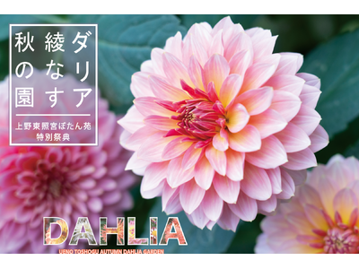 東京・上野公園┃120種200株以上のダリアが秋の庭園を彩る『上野東照宮ぼたん苑 特別祭典　ダリア綾なす...