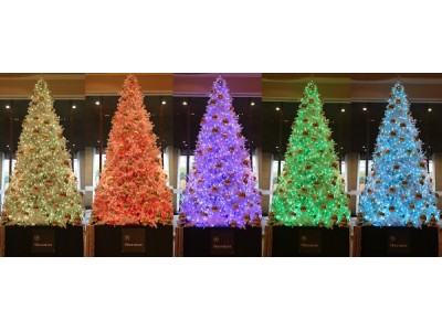 【シェラトン都ホテル大阪】フォトジェニックなクリスマスツリーが登場！