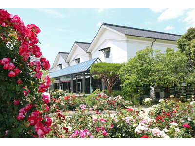 グンゼ博物苑、2025年度の年間入場者数が過去最高の8万人を突破！