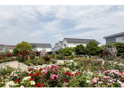 グンゼ博物苑 今年で来苑者数13万人を達成 個人観光客が増加中 企業リリース 日刊工業新聞 電子版