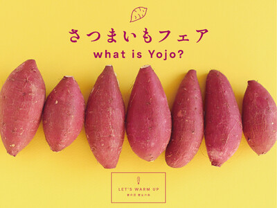 養命酒 養生の森で「さつまいもフェア」開催！