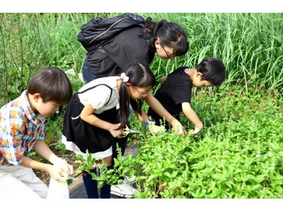 水戸市と養命酒製造株式会社が小学校で、地域の薬草・ハーブの歴史・文化を学ぶ体験型の特別授業を9月18～19日に実施