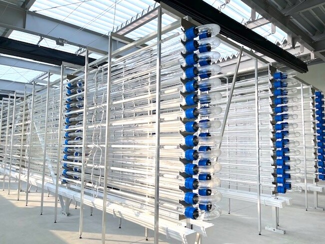 海洋性紅色光合成細菌の大量培養技術の確立に向けたベンチプラントを西部石油敷地内に新設、26年2月に実証開始