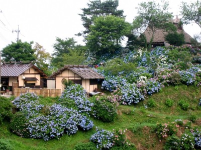 【岡山県】夏のおくりもの「ホタル」を見るなら岡山県真庭市へ。期間限定の直通バスで、駅からも、空港からも簡単にアクセス！お得な観光プランも！