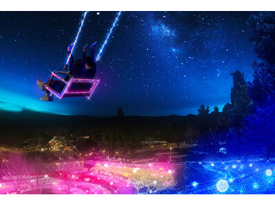 この冬に行きたい！岡山県内のイルミネーションスポット5選