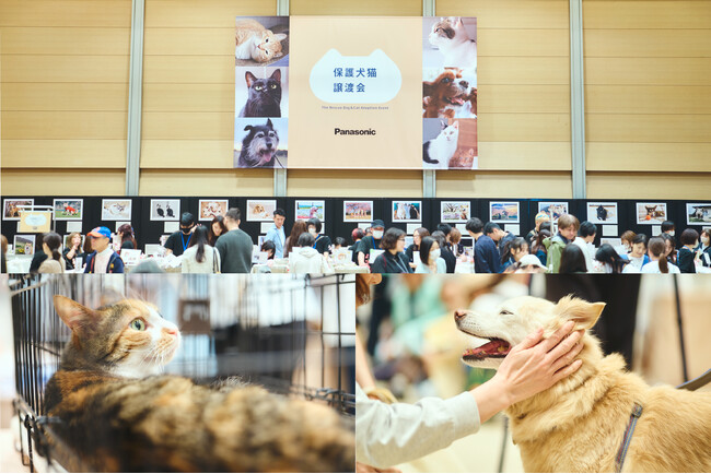 「パナソニック保護犬猫譲渡会2026」開催イベントレポート（東京）