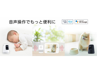 パナソニック HDペットカメラ、ベビーカメラ、屋内HDカメラがAmazon