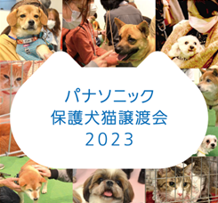 273頭の保護犬・保護猫が参加し、新たな家族との出会いの場に。環境省後援「パナソニック保護犬猫譲渡会2023」イベントレポート
