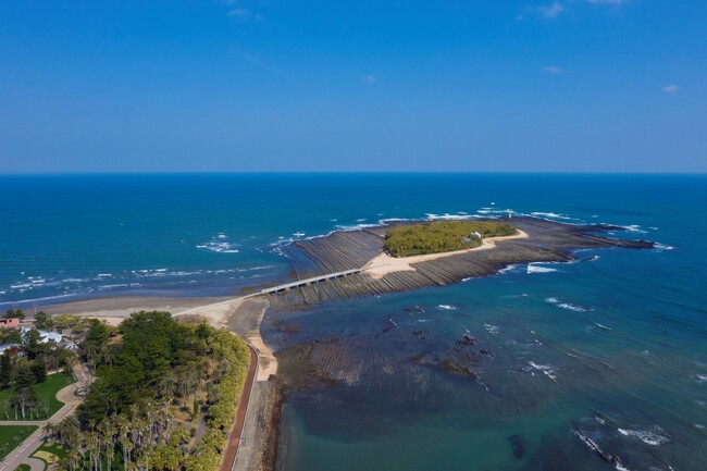宮崎空港・青島間を直行でつなぐシャトルバスを運行します!