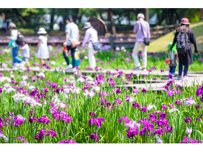 【宮崎県宮崎市】第47回 はなしょうぶまつりを開催します！