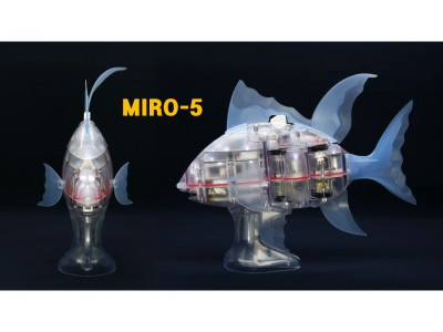 +Style、本物の魚のように泳ぐロボット「MIRO-5」を発売