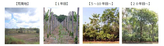 COP30ジャパン・パビリオンにおける環境省セミナー フルッタフルッタの代表長澤登壇のお知らせ