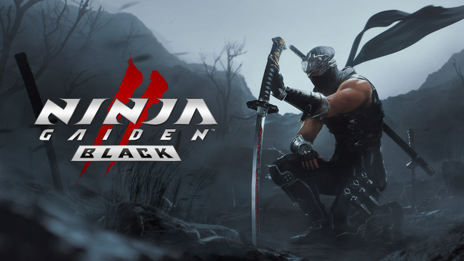 【Skyarts】コーエーテクモゲームスから発売された『NINJA GAIDEN 2 Black』においてカットシーンのエフェクト制作およびライティングをSkyartsが担当しました