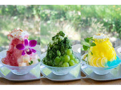 須磨の夏景色と楽しむ3種のかき氷。神戸の洋菓子屋「PATISSERIE TOOTH TOOTH シーサイドカフェ」にて8月13日（木）に登場！