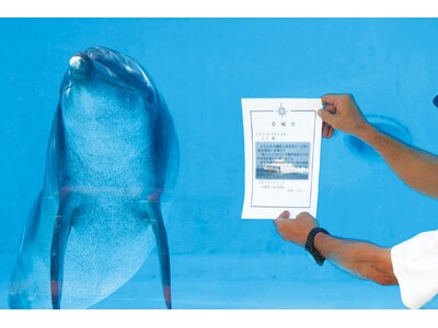 【沖縄美ら海水族館】海遊びはライフジャケットを着用しよう！「ムク」一日名護海上保安署長に就任！