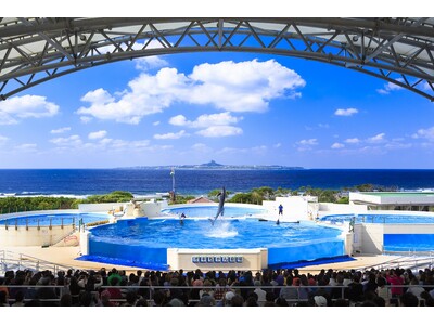 【沖縄美ら海水族館】2024年12月16日より「オキちゃん劇場」再開！！