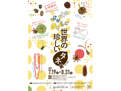 【沖縄県立博物館美術館】夏休みの自由研究に！世界の珍しいタネ展を開催！