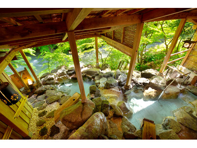 加賀・山中温泉【ファミリー旅を応援】幼児無料、小学生半額、グルメ ＆ 温泉チケット、鯛のお造り、色浴衣、カラオケ無料 etc. 公式HPだけの 1日5組限定プラン発売