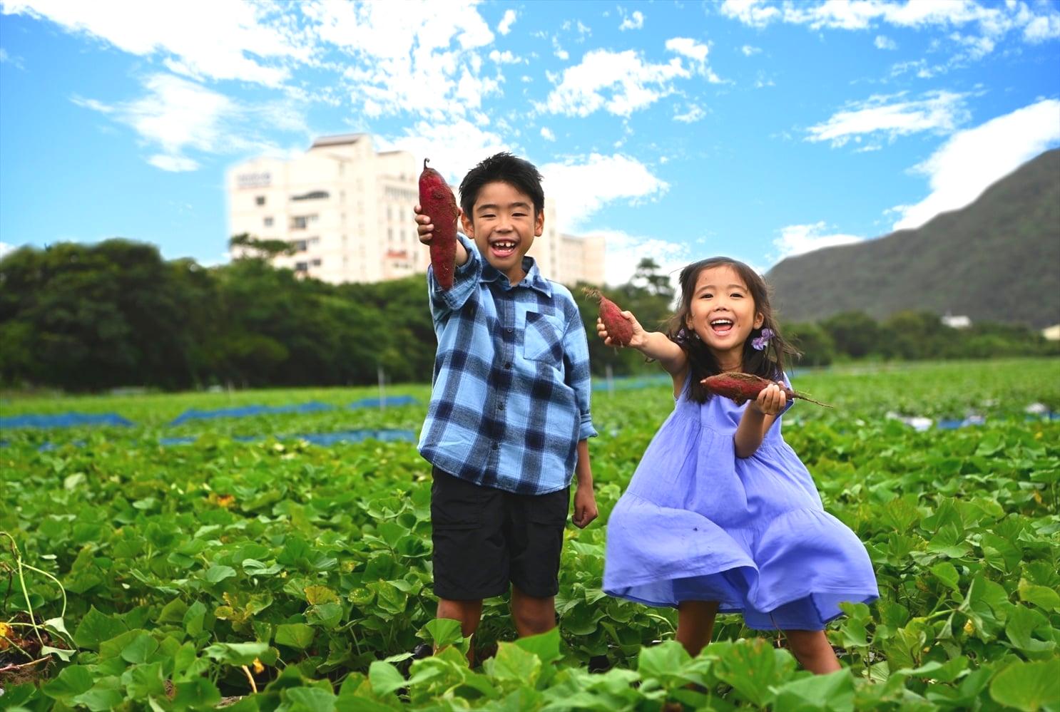 海を望む絶景ホテル☆徳島ブランド【なると金時収穫体験】秋の日帰り旅♪ 芋掘り×…