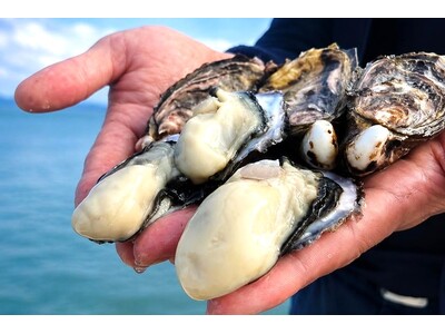 【能登復興を応援】奇跡の「七尾牡蠣」と地酒14種飲み比べ│石川・山中温泉～能登のめぐみを未来へつなぐ美食旅