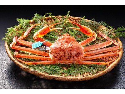 11月6日解禁！石川【タグ付きブランド加能ガニ】1人1杯を堪能 ～旬の恵みを丸ごと愉しむ温泉旅♪