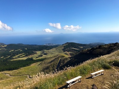 【東伊豆 北川温泉・吉祥CAREN】東伊豆ジオパーク細野高原の「海すすき」を絶景散歩。相模湾を見下ろす、幻想的な大自然へ