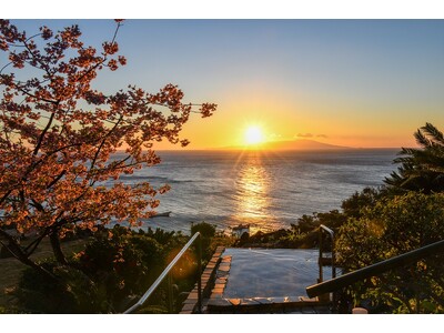 眼福！絶景の露天風呂に咲くカレンな「河津桜」で朝日、青い海と空、夜桜を堪能。