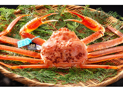 11/6 カニ漁解禁【加能蟹会席】タグ付きブランド蟹ひとり1杯&能登牛を食す。