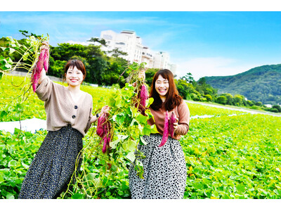 9～11月限定【なると金時いも掘り体験】宿泊プラン☆ご当地グルメ＆自然とふれあいリフレッシュ！ 魅惑のスイーツも♪