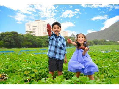 【なると金時収穫体験】海を望む絶景ホテル☆日帰り欲張りプラン♪芋掘り×郷土料理バイキング×鳴門温泉