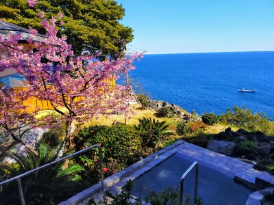 【東伊豆・北川温泉】桜の香りに包まれて整う。自家源泉かけ流しの湯 × 吉祥スパ「桜海コース」